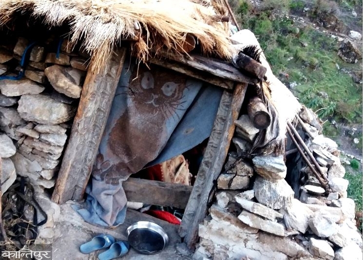 छाउगोठमा सुतेकी महिलालाई सर्पले डस्यो, उपचारका क्रममा मृत्यु
