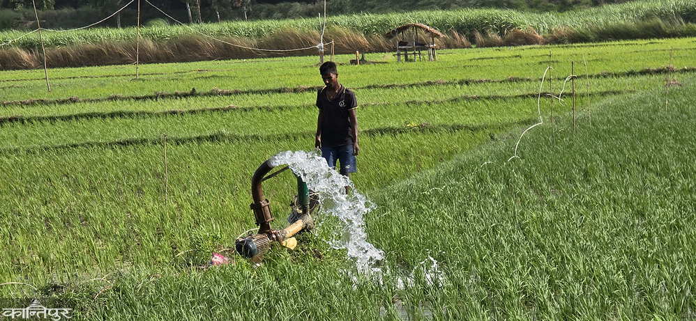बोरिङ चलाउँदा खेतमै करेन्ट लागेर ज्यान गुमाइरहेछन् मधेशका किसान 