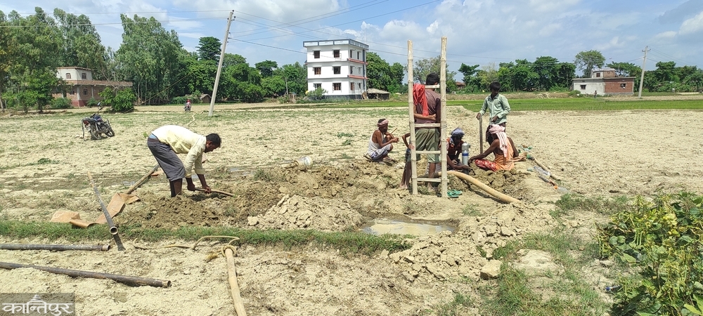 खडेरीले ब्याडमै सुक्न थाल्यो धानको बिउ [तस्बिरहरु]