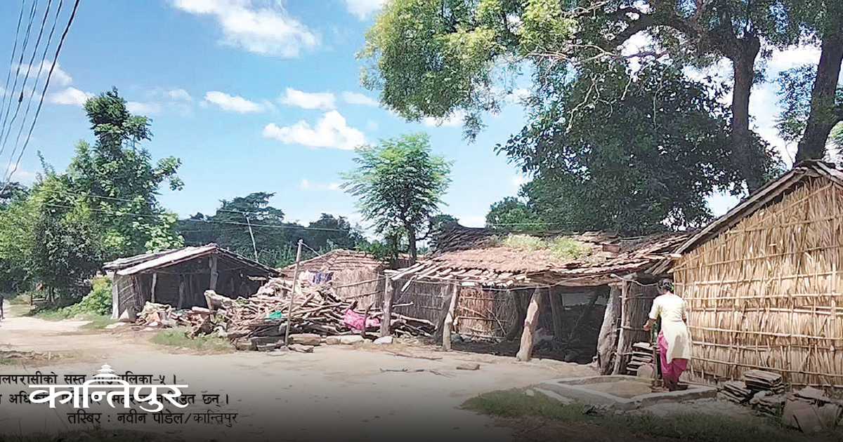 After her husband went to Dubai for work, Mantidevi Thakur of Garuda-4 Shantoli in Rautahat took a loan of Rs 50,000…