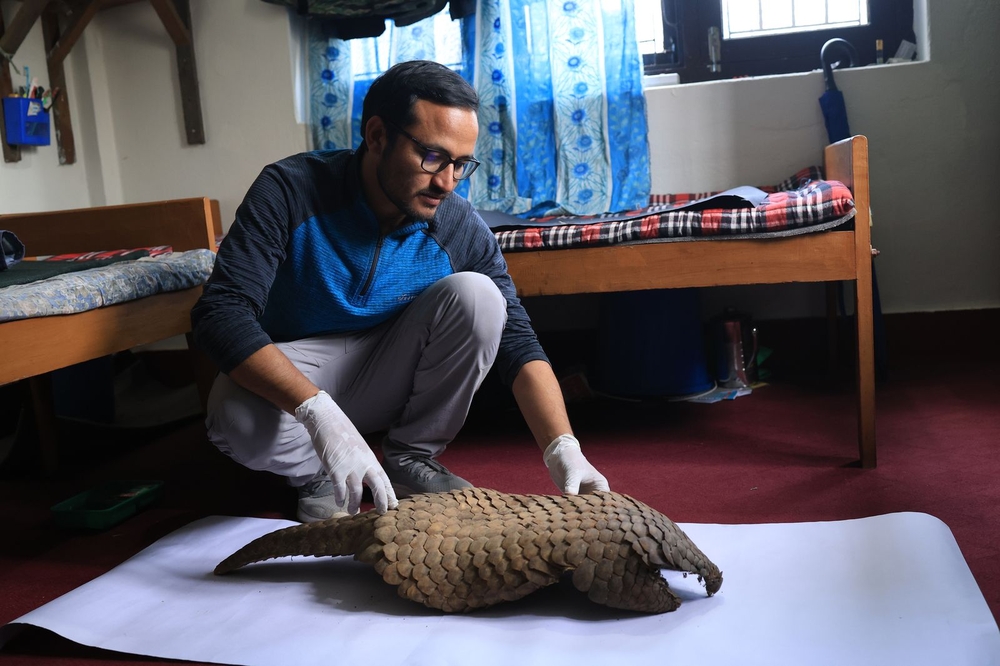 सालक संरक्षणविद् पौडेललाई ५० हजार युरोको पुरस्कार 