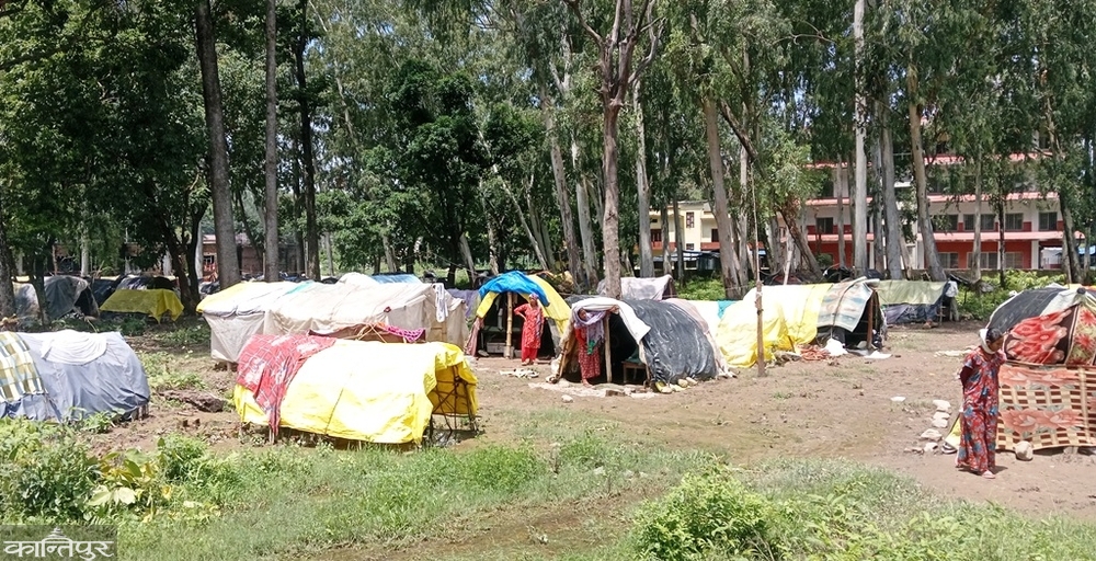 ६ महिनादेखि आन्दोलित शुक्लाफाँटा विस्थापितको झरीमा छाप्रोमुनिको बास