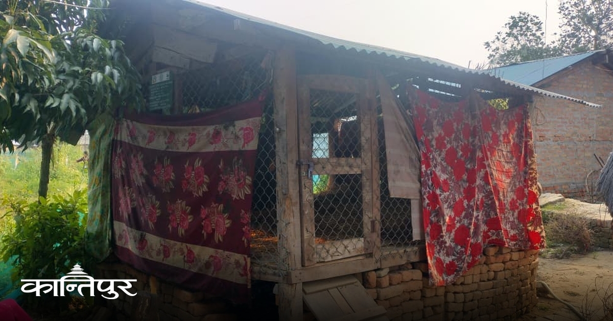 वन्यजन्तुबाट हानी कम गर्न आय आर्जनका कार्यक्रम