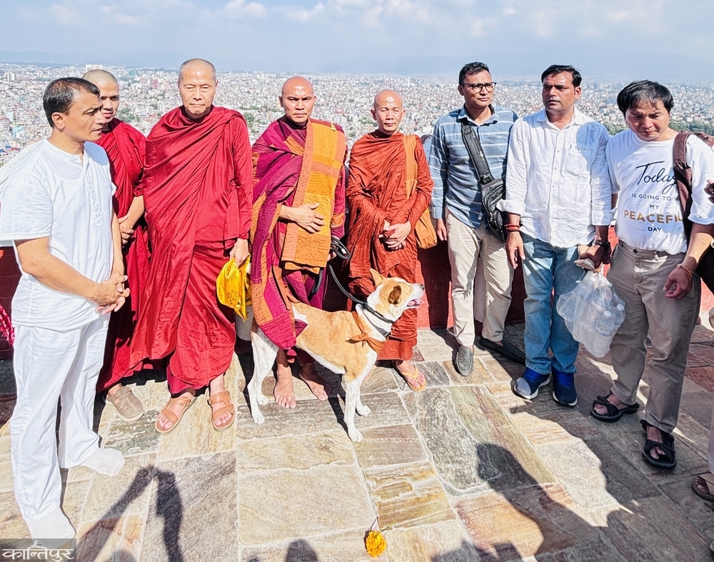 ‘पिस डग’ अलोकाको काठमाडौं यात्रा