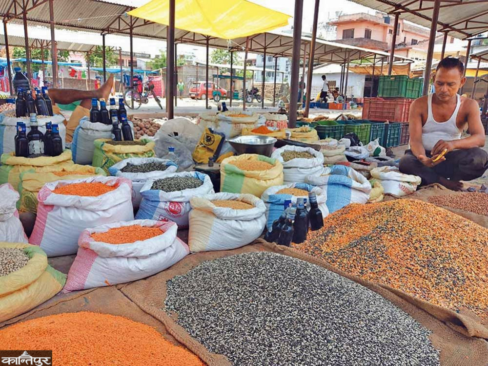 Acacia prices increase, average 5.22 percent in Jestha