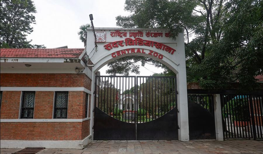 जावलाखेल चिडियाखानाका जीवजन्तुमा बर्डफ्लु, अनिश्चितकालका लागि बन्द