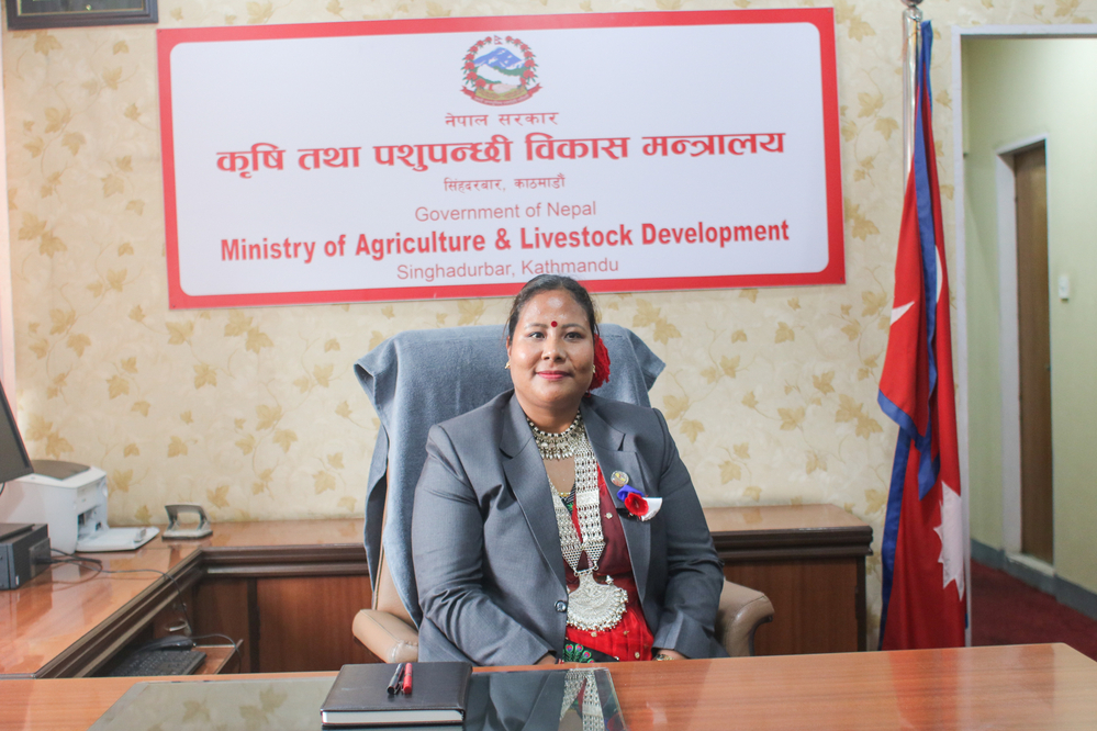 ‘डिडिसी’बाट सित्तैमा दूध–घिउ खाने व्यवस्था तत्काल रोक्न कृषिमन्त्रीको निर्देशन
