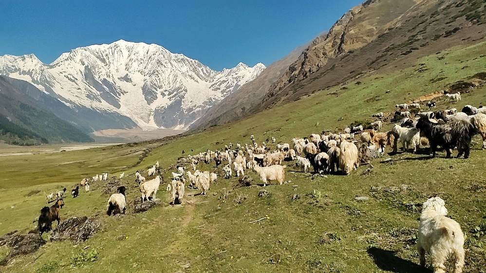 रानीसैन घटना: सीमा विवाद कि सुरक्षा उपस्थिति रोक्ने दाउ?