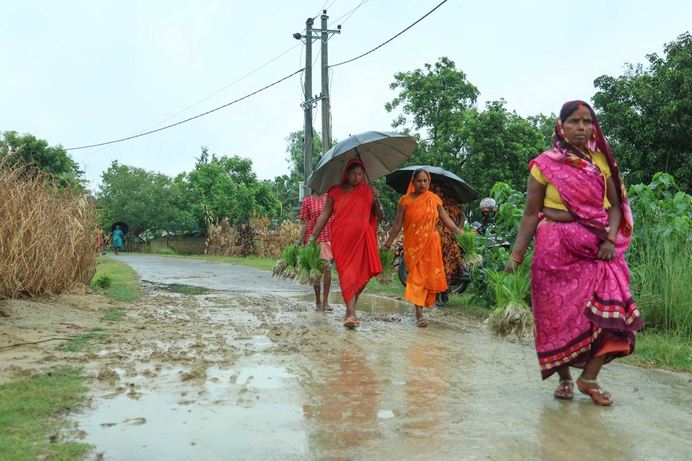 The government failed to provide fertilizer; farmers are arrested if they bring it themselves