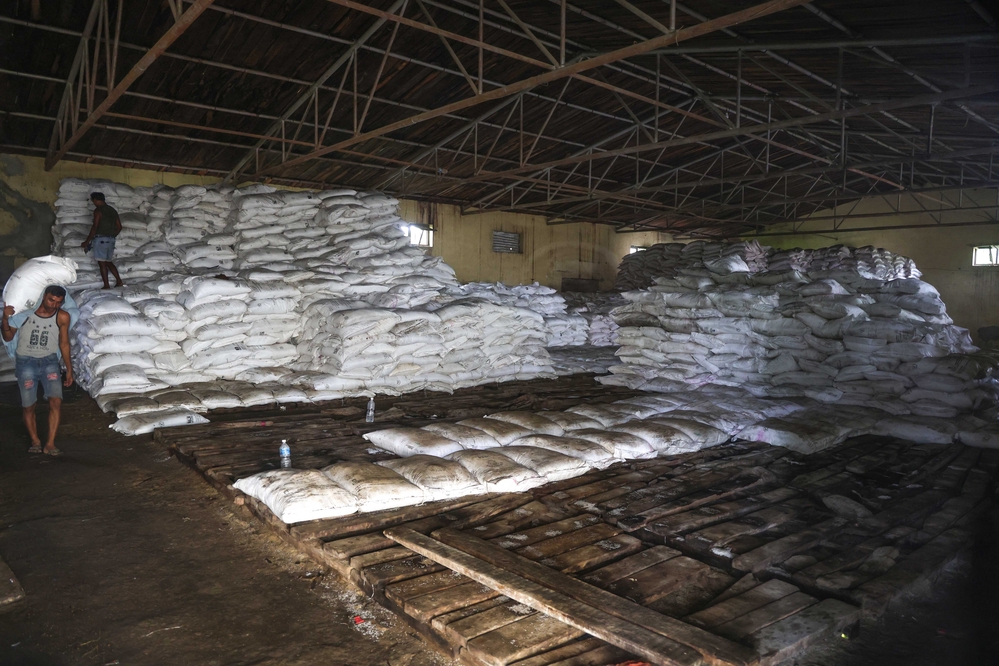 The government failed to provide fertilizer; farmers are arrested if they bring it themselves